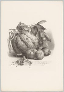 Kurpitsaa, tomaatteja ja kirsikoita Flower and Fruit Studies (...) 10. jakso (sarjan nimi) tekijältä Anton Weiss