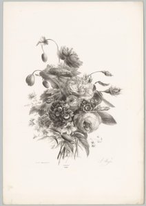 Ruusuja ja muita kukkia Flower and Fruit Studies (...) 10. jakso (sarjan nimi) tekijältä Anton Weiss