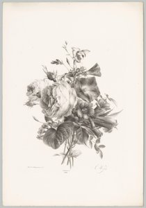Ruusuja ja maljan muotoisia kukkia Flower and Fruit Studies (...) 10. jakso (sarjan nimi) tekijältä Anton Weiss