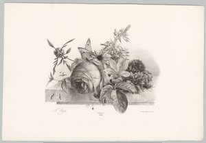 Ruusuja, liljoja, kellon muotoisia kukkia ja perhonen Flower and Fruit Studies (...) 10. jakso (sarjan nimi) tekijältä Anton Weiss