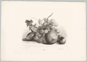 Viikunoita, rypäleitä ja appelsiinia Flower and Fruit Studies (...) 10. jakso (sarjan nimi) tekijältä Anton Weiss