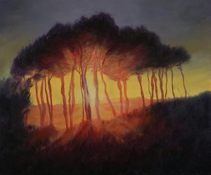 Wild Trees at Sunset, 2002