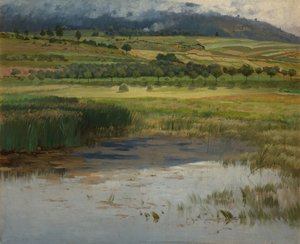 Hukkunut lampi, 1887 tekijältä Antonin Chittussi