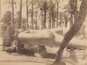 Ramses-patsas Saqqarassa tekijältä Antonio Beato