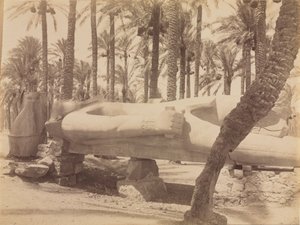 Ramses-patsas Saqqarassa, n. 1870-1880 luvut. tekijältä Antonio Beato