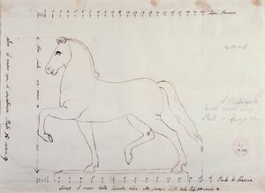 Tutkimus hevoselle hevosmonumentille (piirustus tekijältä Antonio Canova