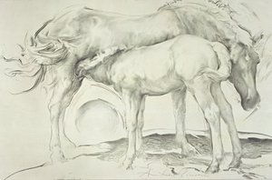 Horses at Coolmoressa, 1990 (hiili paperilla)