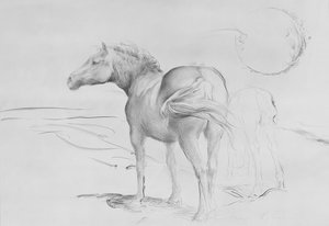 Horses at Coolmoressa, 1990 (hiili paperilla) tekijältä Antonio Ciccone