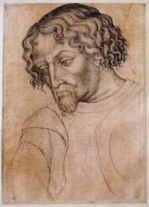 Parrakkaan miehen rintakuva, kolme neljäsosaa päästä vasemmalle nojaten. Piirustus työpajasta Antonio di Puccio Pisano dit Pisanello (1395-1455). Sulka (piirustus), veri. Mitat: 28 x 20 cm. Louvre, piirustustoimisto tekijältä Antonio Pisanello