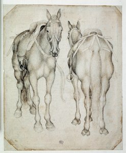 Kaksi valjaita, kolme neljäsosaa nähtynä, toinen edestä ja toinen takaa. Piirustus Pisano Antonio di Puccio dit Pisanello (1395-1455) tekijältä Antonio Pisanello