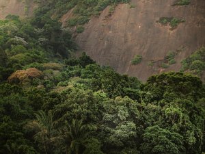 Corcovado XV, 2020 (digitaalinen valokuvaus) tekijältä Antonio Schubert