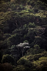  tekijältä Antonio Schubert