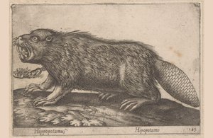 Juoda Virtahepo (otsikko esineessä) Dieren en fablewezens (sarjan nimi) Nova raccolta de li animali piu curiosi del mondo (sarjan nimi)