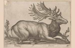 Damhert Dainus / Daino (otsikko esineessä) Dieren en fabelwezens (sarjan nimi) Nova-kokoelma maailman uteliaimpia eläimiä (sarjan nimi) tekijältä Antonio Tempesta