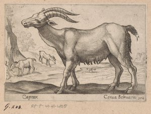 Jalokivet Caprax/ Cerua Belzuaria (otsikko esineessä) Dieren en fablewezens (sarjan nimi) Uusi kokoelma maailman uteliaimpia eläimiä (sarjan nimi) tekijältä Antonio Tempesta