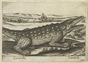 Krokotiili Coccodrillus/Crocodile (otsikko esineessä) Dieren en fablewezens (sarjan nimi) Uusi kokoelma maailman uteliaimpia eläimiä (sarjan nimi) tekijältä Antonio Tempesta