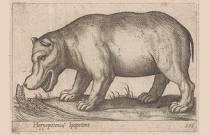 Virtahepo Virtahepo/Ippopotamo (otsikko esineessä) Eläimet ja myyttiset olennot (sarjan nimi) Nova raccolta de li animali piu curiosi del mondo (sarjan nimi) tekijältä Antonio Tempesta