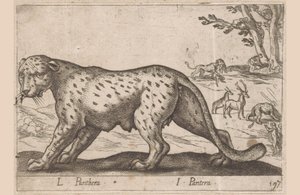 Pantteri L Panthera/ I Panthera (otsikko esineessä) Dieren en fablewezens (sarjan nimi) Uusi kokoelma maailman uteliaimpia eläimiä (sarjan nimi) tekijältä Antonio Tempesta