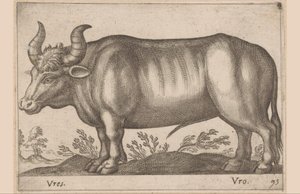 Pyöristää Vres/ Vro (otsikko esineessä) Eläimet ja myyttiset olennot (sarjan nimi) Nova raccolta de li animali piu curiosi del mondo (sarjan nimi) tekijältä Antonio Tempesta