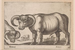 karjaa Bonasus/ Bonaso (otsikko esineessä) Eläimet ja myyttiset olennot (sarjan nimi) Nova raccolta de li animali piu curiosi del mondo (sarjan nimi) tekijältä Antonio Tempesta