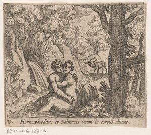Salmacis ja Hermaphroditus Hermaphroditus ja Salmacius lähtevät yhtenä ruumiina (otsikko esineessä) Metamorfoosi tai muunnokset (sarjan nimi) Metamorfosen van Ovidius (sarjan nimi) tekijältä Antonio Tempesta