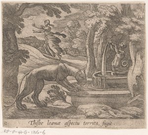 Thisbe vlucht voor the leeuwin by the bron Tämä on aluefugitin osa (otsikko esineessä) Metamorphosis and Transformation (sarjan nimi) The Metamorphoses of Ovid (sarjan nimi) tekijältä Antonio Tempesta
