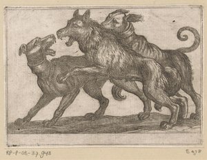 Kaksi koiraa taistelevat suden kanssa Fighting Animals (sarjan nimi) tekijältä Antonio Tempesta