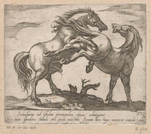 Twee parende paarden Paarden uit verschiedelden landen (sarjan nimi) Näiden johtajien kanssa sinua juhlitaan johtajana, jolla on viroru suu.