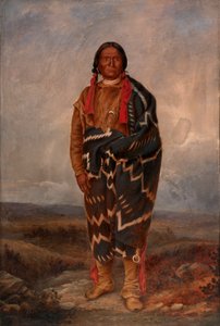 Apache Indian, n. 1893.