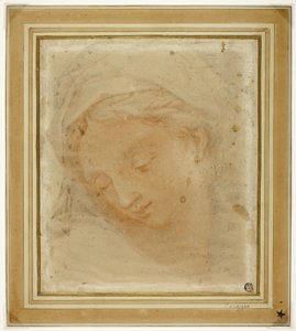 Naisen pää tekijältä Antonio da Correggio