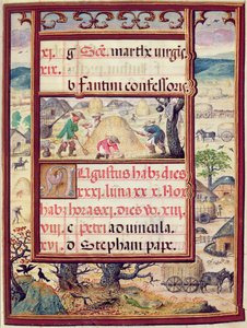 Elokuu, miniatyyrejä teoksesta "Dom Manuelin tuntikirja", 1517-38 (tempera vellum) tekijältä Antonio de Hollanda