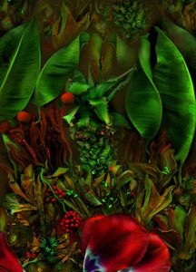 Anderswelt no.22-2, 2025 (kuva) tekijältä Antonius Antonius