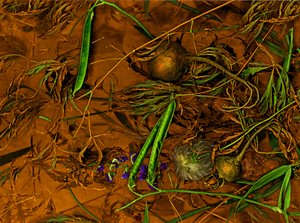 Earthart no.2, 2014 (kuva) tekijältä Antonius Antonius