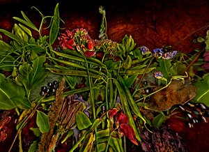 Still-life m 3, 2014 (kuva)