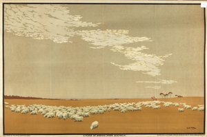 A Flock of Merino Sheep - Australia, sarjasta "Australian Wealth of Wheat and Wool" (väri litho)