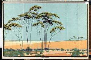 Australian Wheat, sarjasta "Australian Wealth of Wheat and Wool" (väri litho)