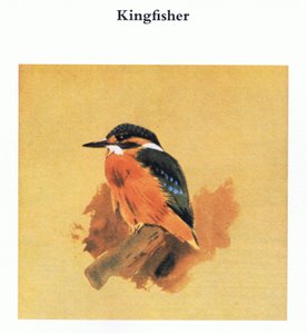 Kingfisher, pubi. Kirjailija: Book Club Associates, 1972 tekijältä Archibald Thorburn