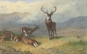 Glenin hallitsija tekijältä Archibald Thorburn