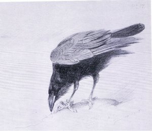 Raven, pubi. kirjoittanut Book Club Associates tekijältä Archibald Thorburn