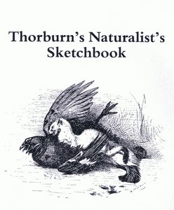 Nimilehti (Stoat ja Gamebird), pub. kirjoittanut Book Club Associates tekijältä Archibald Thorburn
