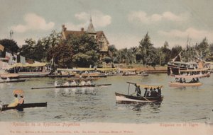 Veneregatta, Argentiina