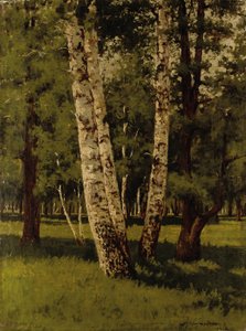 Koivut