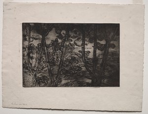 Puut yöllä, c. 1894. tekijältä Armand Séguin