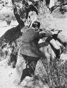 Salvatore Giuliano osoittaa pistoolia, 1937