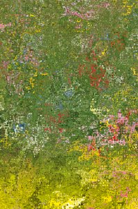 Blumenwiese