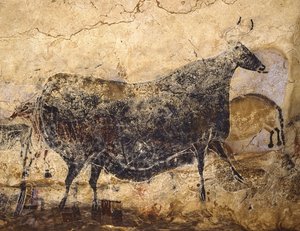 Musta Lehmä. Lascaux