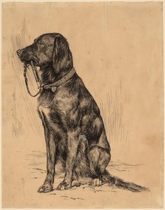 Aldrichin koira tekijältä Arthur B. Davies