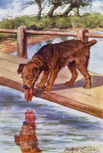 Aisopoksen satuja: Koira ja varjo (värilitho)