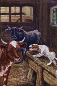 Aisopoksen satuja: Koira seimessä (väri litho)