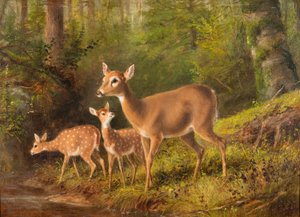 Doe ja kaksi vasaa tekijältä Arthur Fitzwilliam Tait